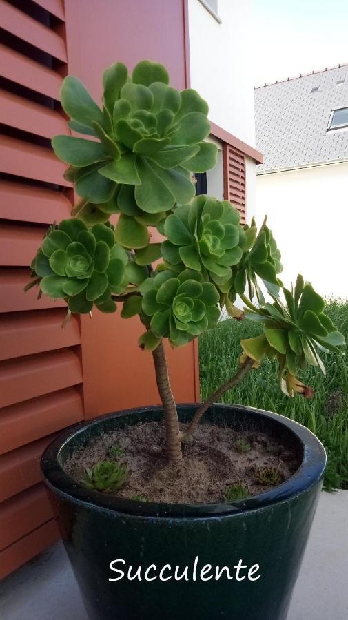 파임폴 Epiphytes Et Succulentes 아파트 외부 사진
